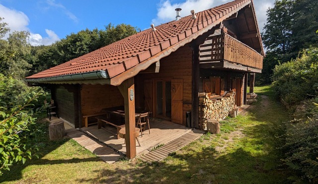 Spacious Chalet near Gérardmer: Terrace, Orchard, Ski, & Local Crafts