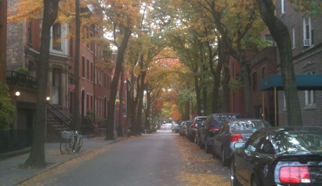 Spacious, Clean 1 Bedroom + Office