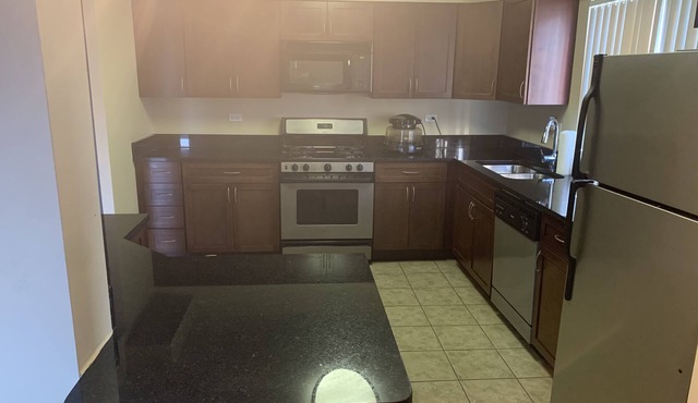 Spacious clean full apartment 20 min from downtown chicago