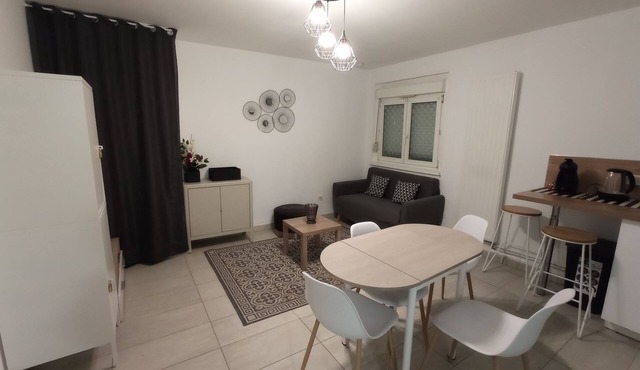 Spacious, comfortable apartment, ideal for workers