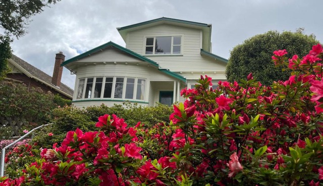 Spacious comfortable character House -Maori Hill