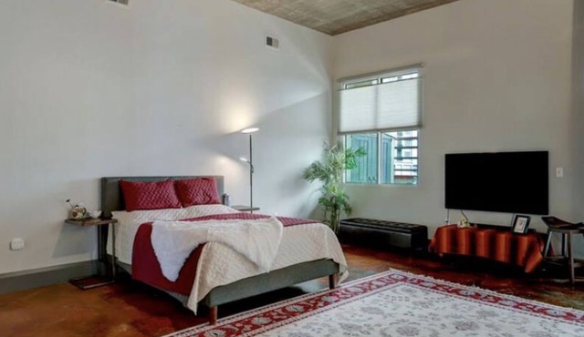 Spacious Condo in Museum district near medical center