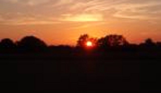 Spacious converted Barn - fully equiped - family friendly Gite sleeps 6 (Lily)