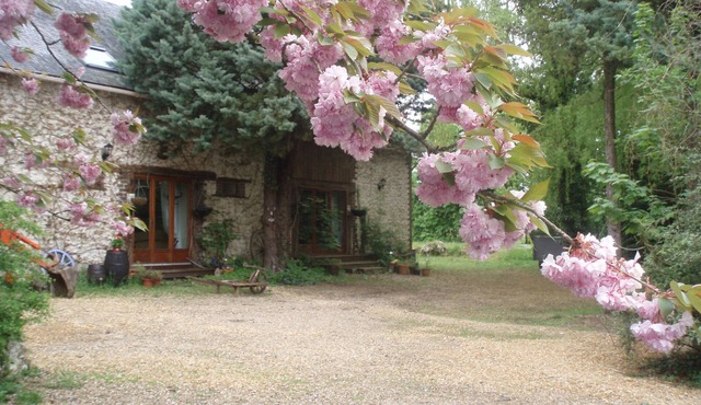 Spacious converted Barn - fully equiped - family friendly Gite sleeps 6 (Rose)