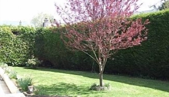 Spacious Cottage Sleeps 5, With Well Equipped Games Room And Sunny Garden