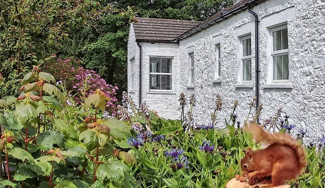 Spacious cottage on an estate where peace, privacy, fun and exploration abound