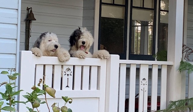Spacious Country Cottage located close to Berry & Gerringong