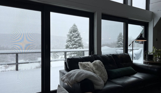 Spacious Country Getaway - 7 Bdr, 8 Bth, Swim, Ski, Hot Tub, Pets Kids ok