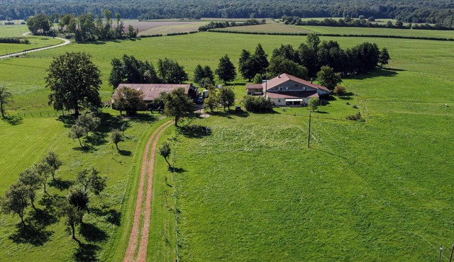 Spacious cozy and pet friendly Gîte (6pers with 3 bdrms/2 baths/3 toilets).