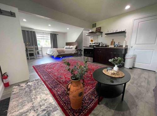 Spacious Cozy Guest Suite