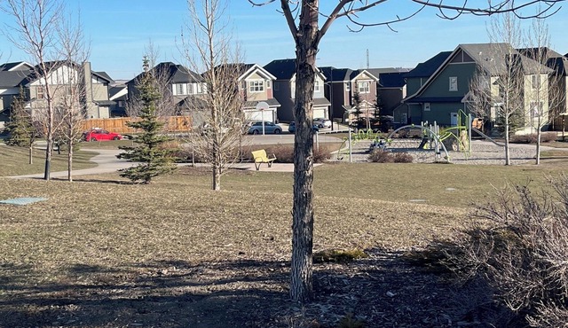 Spacious Cozy Legal Basement Secondary Suite in NW