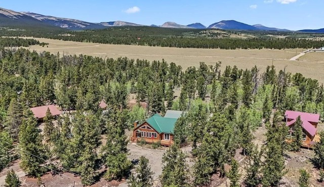 Spacious & Cozy Mountain Cabin in Fairplay
