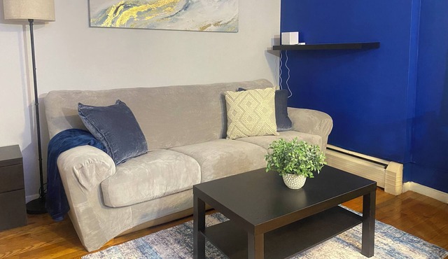 Spacious & Cozy Studio in Downtown New Haven near Yale University