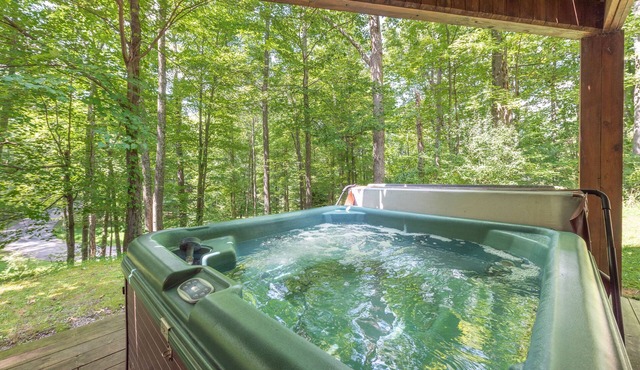 Spacious Deep Creek Stay w/Rustic Charm