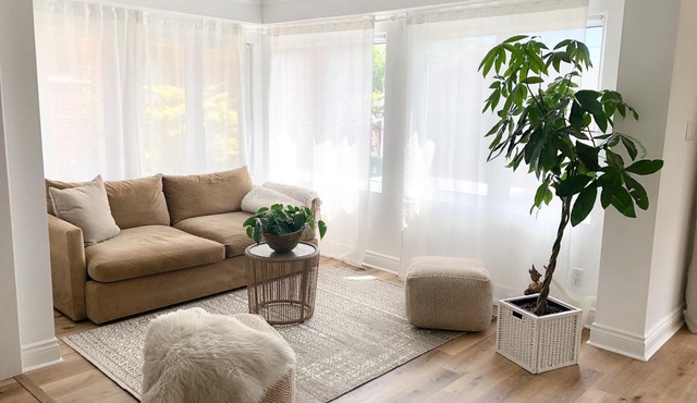 Spacious Detached House close to Downtown and Lake