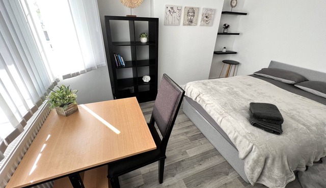 Spacious Double Room for ONE Guest in a Shared House