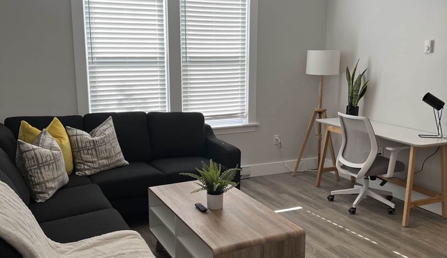 Spacious downtown apartment near restaurants/bars