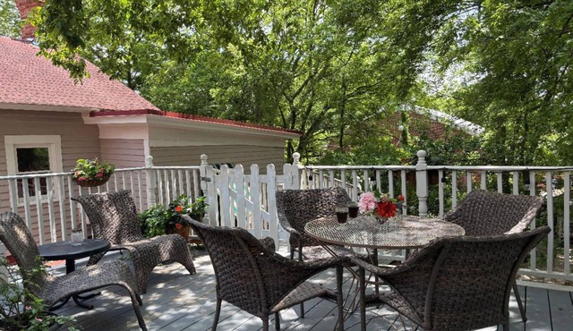 Spacious Downtown Cottage with Roof-Top Patio