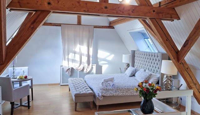 Spacious Duplex apartment with fantastic lake view just 5 minutes from Zurich