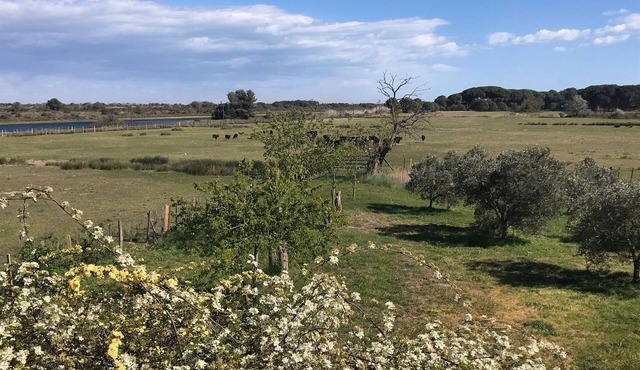 Spacious duplex in a farmhouse, in a protected natural area near the beaches