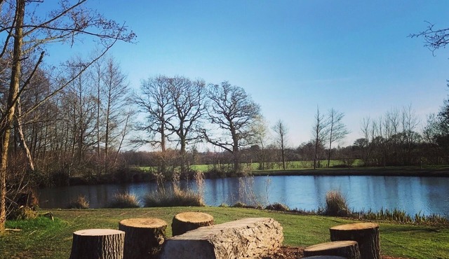 Spacious Eco, Pet Friendly Apartments, Forest of Dean, Wye Valley