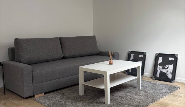 Spacious F2 15mn from PARIS