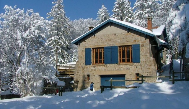 Spacious family chalet with sauna in the heart of Le Bessat