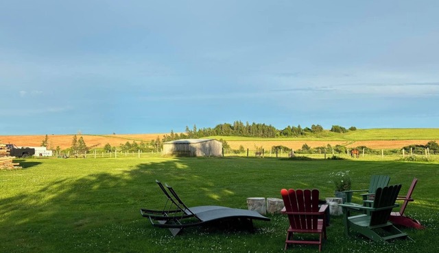 Spacious family-friendly rural apt with huge yard. 15 min between beaches & town