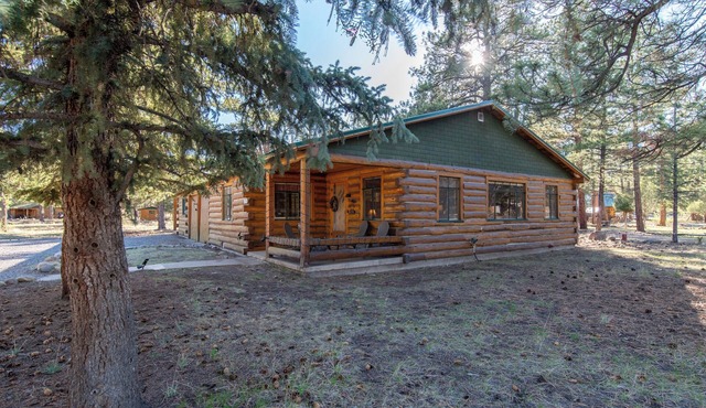 Spacious Family Friendly Cozy Cabin