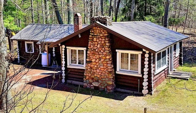 Spacious Family-Friendly Log Cabin with Lake Views near Cadillac, Michigan