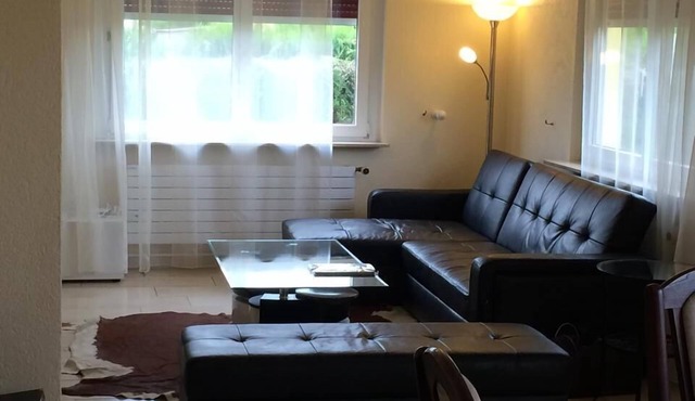 Spacious Family Home (Basel - 15min) - 7 rooms, 210 m2, residential area