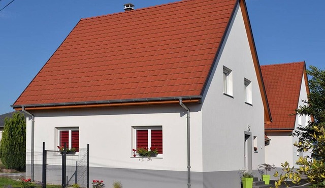 Spacious family home, pets allowed in Oberentzen