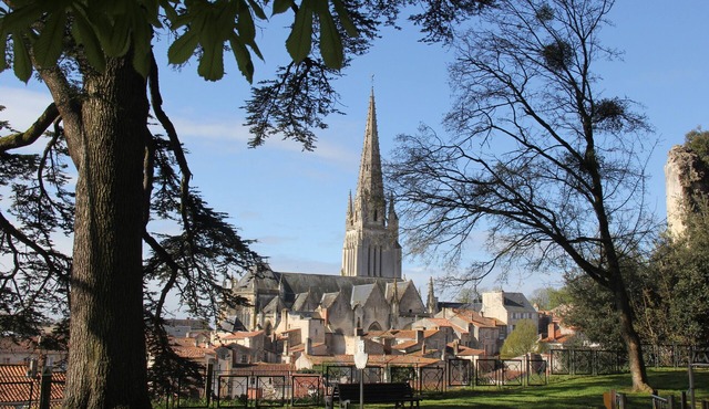 Spacious family home near lakes/forests, beautiful views, pet friendly