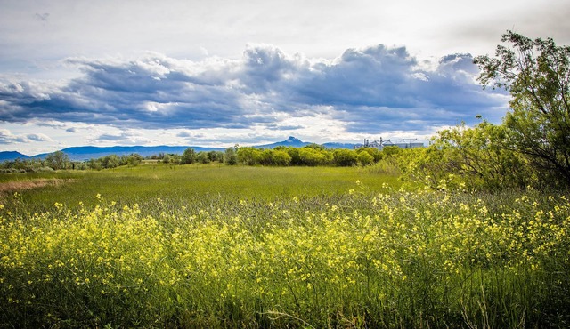 Spacious Family Retreat with Stunning River Views – Just 15 Minutes from Cody!