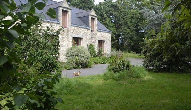 Spacious (family) rooms of 35 m2