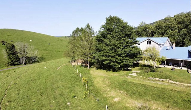 Spacious Farm w Mountain Views - 30min to Blacksburg