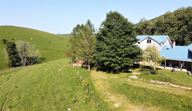 Spacious Farm with Mountain Views 30min to Bburg