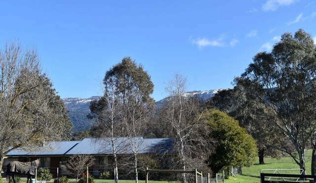 Spacious farmhouse on the rail trail with stunning views of Mount Buffalo.