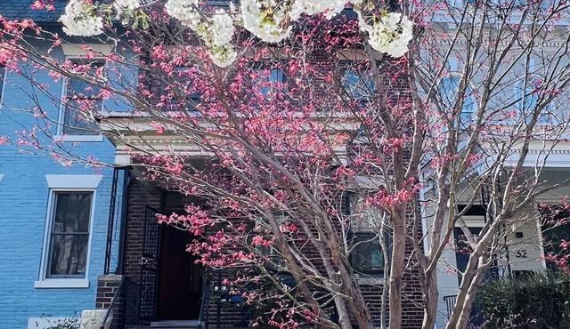 Spacious four-bed, three-and a half- bath townhome in Washington DC.