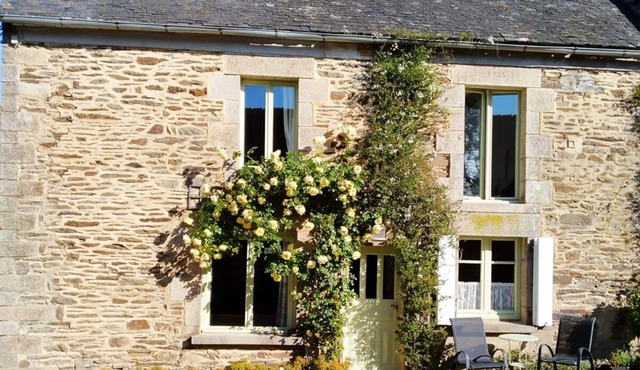 Spacious House, Cosy Accommodation. Log stove. Countryside forest river walks.