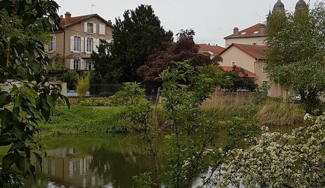 Spacious Riverside Apartment for 6 near Nancy – Modern Amenities, Free Parking, WiFi Included