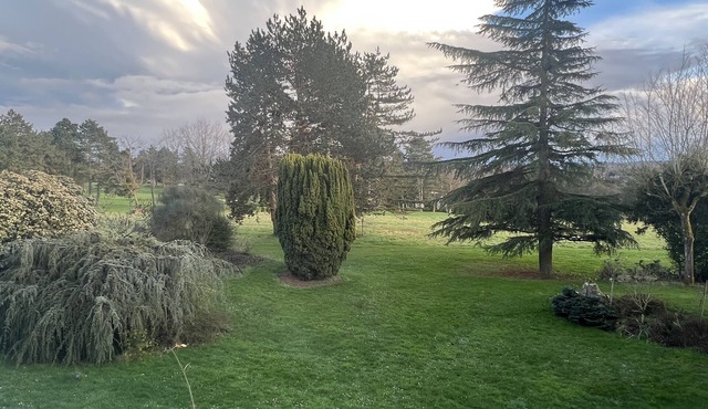 Spacious family house on a golf course near Versailles, 30min drive to Paris.