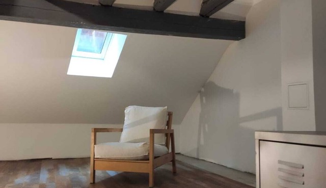 Spacious, fully-equipped, comfortable duplex apartment in Guebwiller