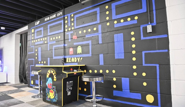 Spacious & Fun Arcade House, Sleeps 14, Central Location, Fenced Backyard