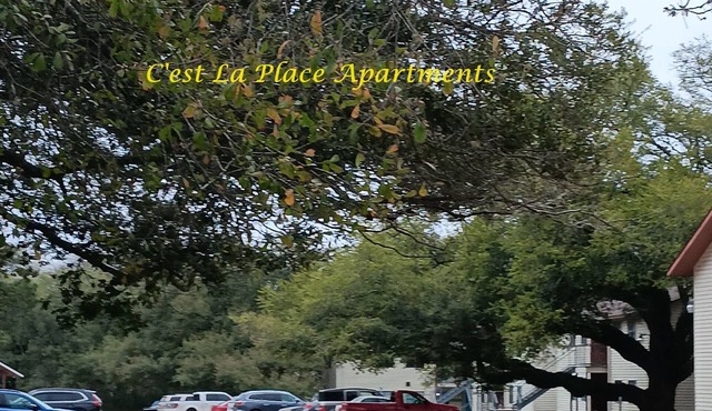 Spacious Furnished 2 Bedrooms, 1 Bathroom Apartment! nYour Home Away from Home
