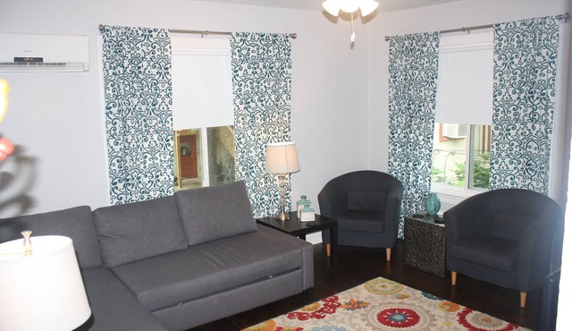 Spacious garage apartment in central historic Hyde Park