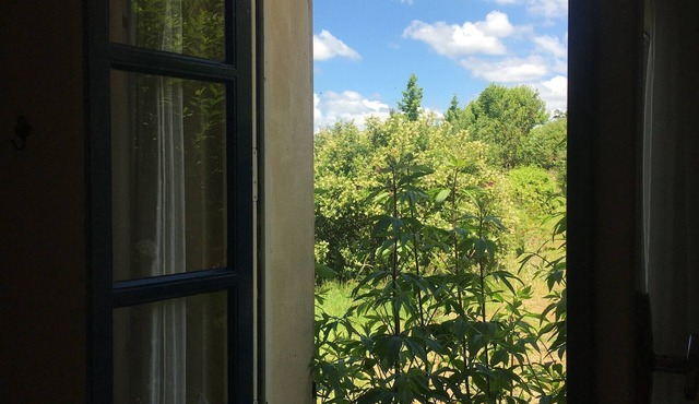 Spacious gîte in idyllic wooded setting by a stream with hammock & barbecue