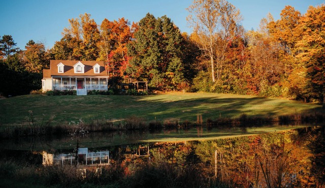 Spacious Group Stay-Pond Retreat, Fishing & Wineries Near Cville & SNP