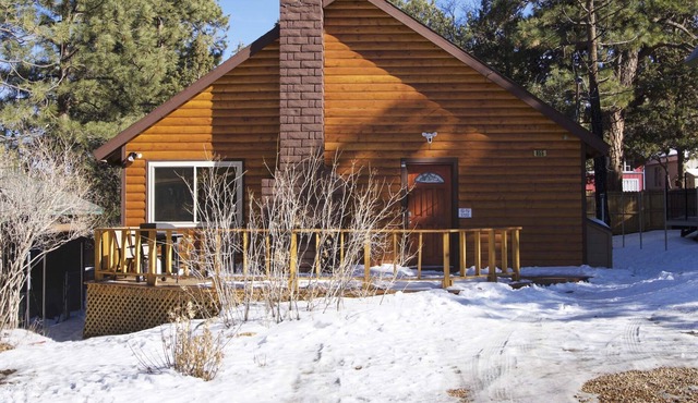 Spacious Hidden Gem, Dog-Friendly, WiFi, with Fence and Deck