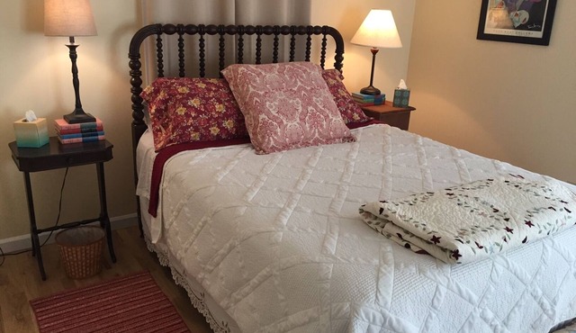 Spacious Historic House one block to downtown in fun neighborhood!